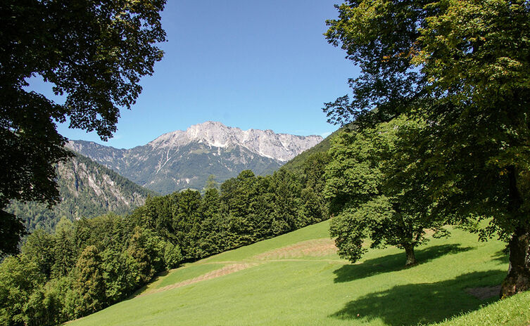 Blick von Oberau zum Untersberg