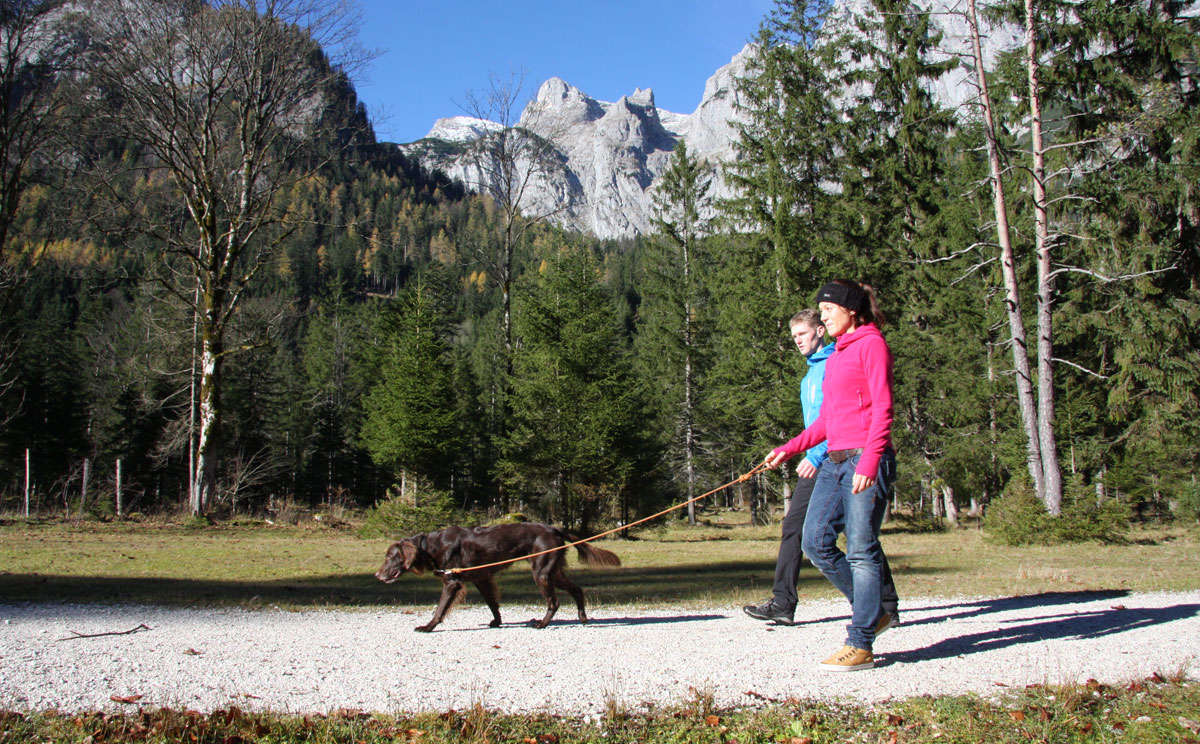 Wandern mit Hund Leinenpflicht im Nationalpark Berchtesgaden